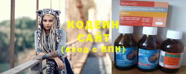 шишки Рославль