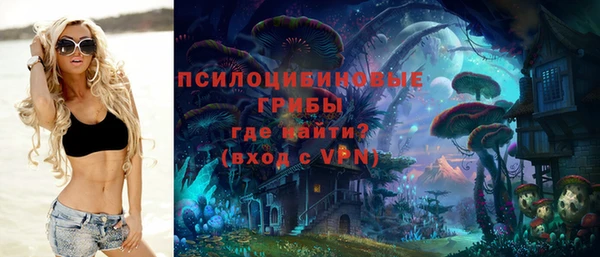 прущий лед Алзамай