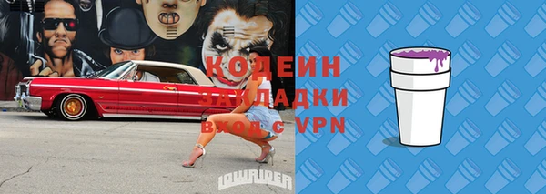 прущий лед Алзамай