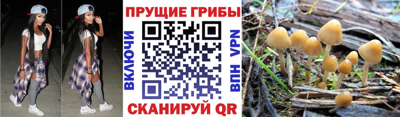 Галлюциногенные грибы ЛСД  хочу   Карасук 